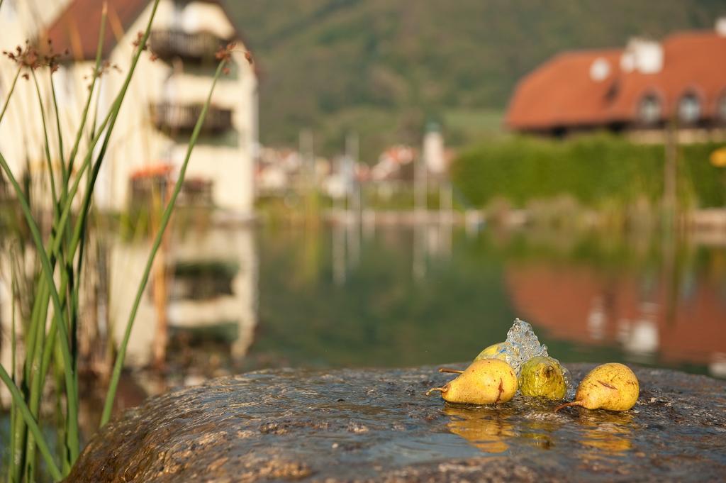 Romantikhotel Residenz Wachau Aggsbach Exteriör bild